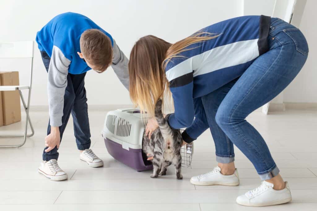 A mother and son placing their cat into the carrier on the moving day